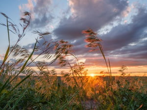 Nebraska Landscape